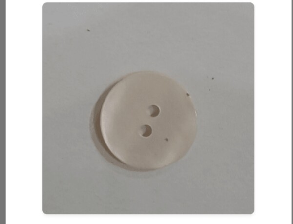 Button shell