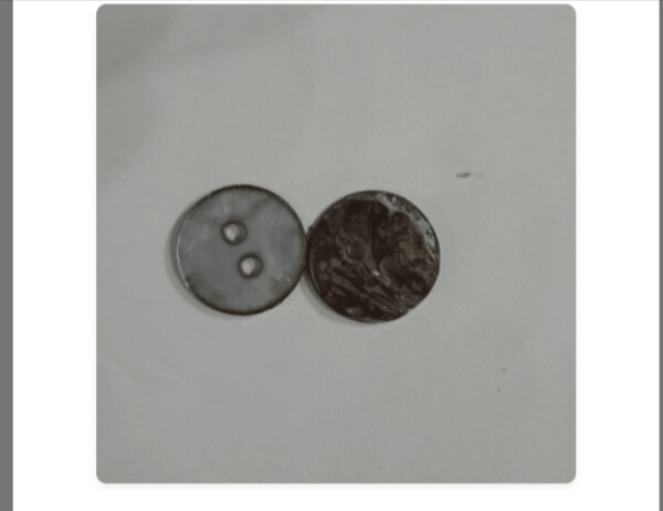 Button shell