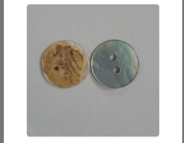 Button shell
