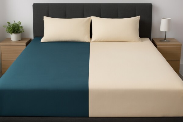 AAT Bedsheet with Two Pillow Covers