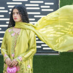 Noor -e - Eid cutwork Suit | Short Shirt 3 PCS Outfit gallery image thumbnail #2